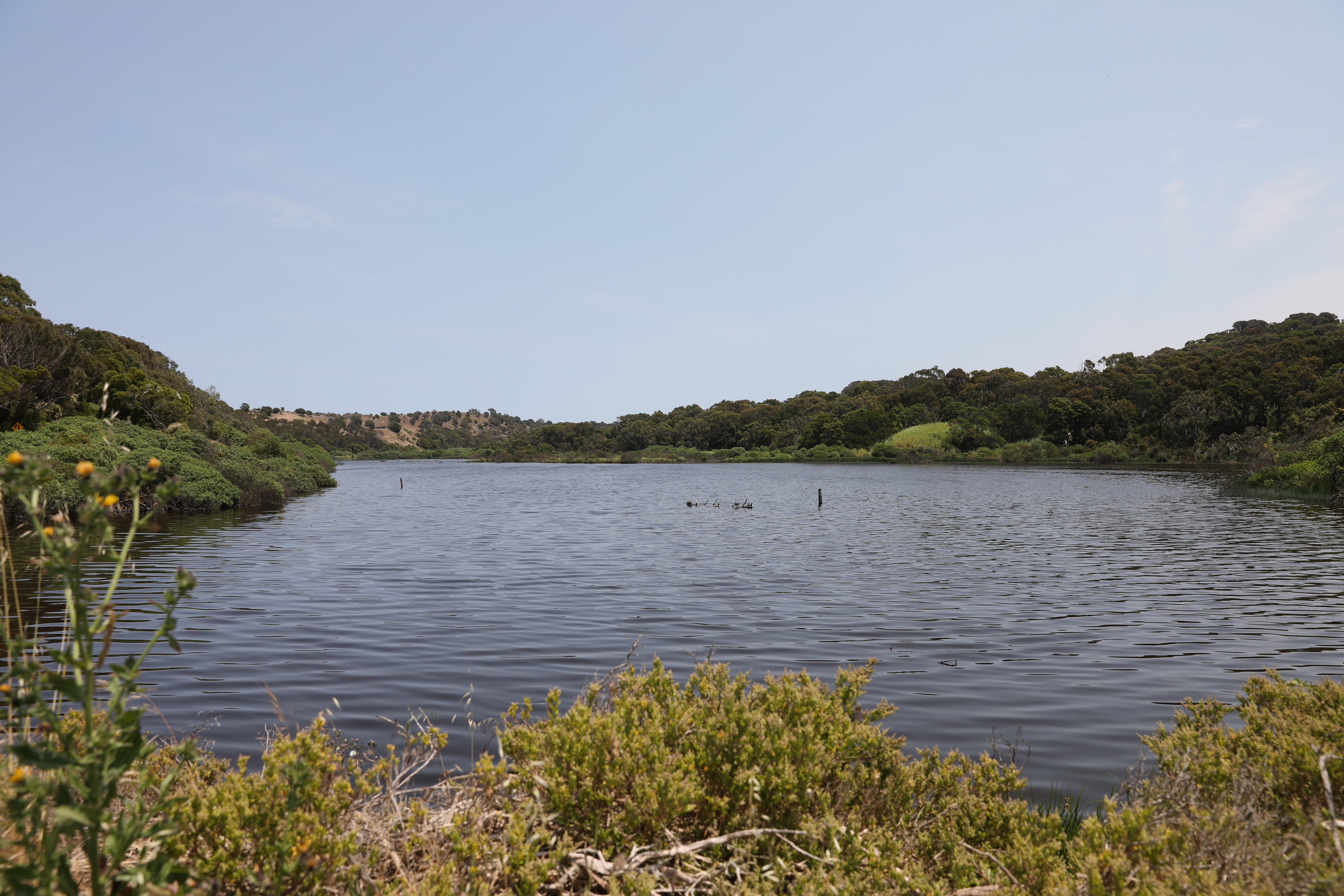 Tower Hill Wildlife Reserve